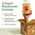 Gummies Immune (60 Count) Plant People WonderDay Mushroom - Lions Mane, Cordyceps, Chaga Mushroom Supplement to Support