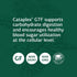 Standard Process Chromium Complex - Whole Food Digestion & Digestive Health with L-Cysteine, Chromium, 180 Tablets