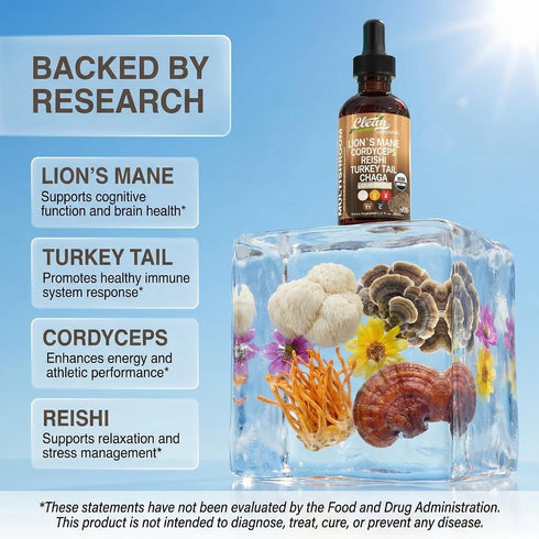 Mushroom Supplement Liquid Drops with Lions Mane Turkey Tail Cordyceps Reishi Chaga Shitake Maitake Tremella Oyster