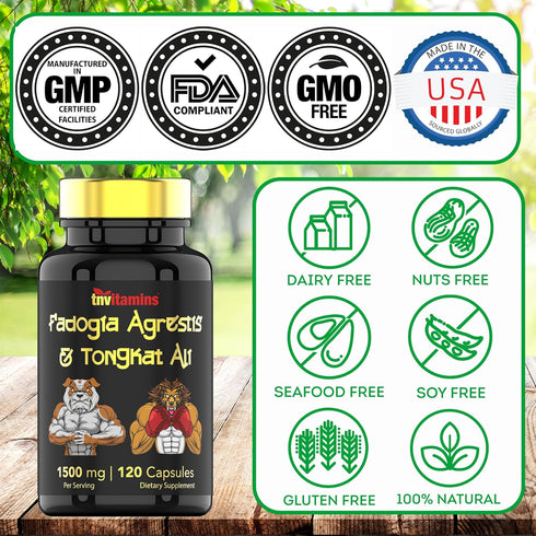 Fadogia Agrestis & Tongkat Ali Supplement - 1500mg, 120 Capsules, Ultra-Potent Formula for Men