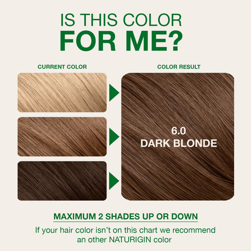 Naturigin Permanent Hair Color, 6.0 Dark Golden Copper Blonde, Ammonia Free, 100% Gray Coverage, 1 Pack