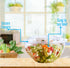 Mr Miracle Clear 18 Ounce Plastic Salad Bowls with Snap-On Lids, Pack of 50, Airtight Disposable Containers for Lunch