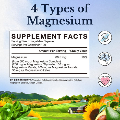 Vitalitown Magnesium Complex Supplement 500mg - Maximized Absorption Chelated Magnesium Glycinate, Malate, Taurate & Citrate - Vegan Non-GMO Magnesium 120 Capsules for Sleep, Muscle, Energy & Heart