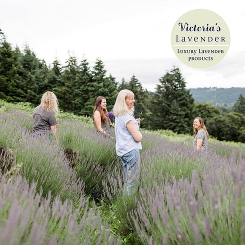 Victoria's Lavender Organic “Don’t Bug Me” Insect Spray, Made with Plant Based Essential Oils & Aloe Vera (4 oz Single)