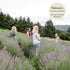 Victoria's Lavender Organic “Don’t Bug Me” Insect Spray, Made with Plant Based Essential Oils & Aloe Vera (4 oz Single)