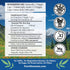 Pure Mountain Botanicals Wild Oregano Oil Capsules, 60 Kosher Vegan Caps, 510mg Mediterranean Oil