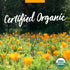 Herb Pharm Herbs on The Go Certified Organic Daily Calming Portable Spray - Adaptogenic Support*, 1 Ounce.