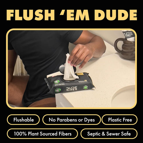 DUDE Wipes - 6 Pack Flushable Wipes, 288 Extra-Large Adult Wet Wipes with Shea Butter, Vitamin-E & Aloe