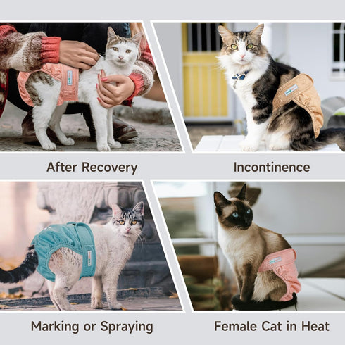 Langsprit Reusable Cat Diapers for Female Male Cats,Washable Cat Kitten Incontinence Diapers for Male Cats Spraying,Pet