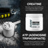 RAW Nutrition Creatine Monohydrate Powder - Unflavored (30 Servings) for Workout Performance, Muscle & Strength Building