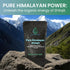 Holistic Bin Shilajit Resin - Himalayan Fulvic & Trace Black Platinum Extract, 10g with Serving Spoon