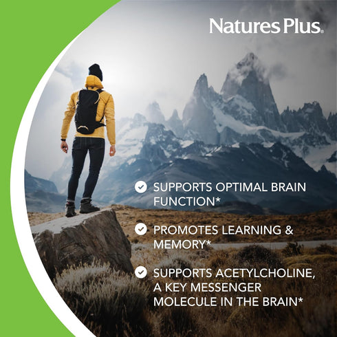 Natures Plus Huperzine Rx-Brain - 50 mcg, 30 Vegetarian Tablets - Brain Support Supplement with Neuronutrients