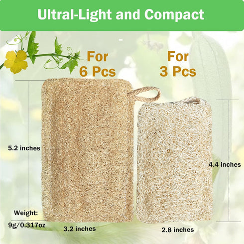 Natural Loofah Kitchen Sponge (6 Pcs) No Scratch Brush for Dishwashing, 100% Plant Fibers Vegetable Scrubber, Zero Waste and Eco Friendly Loofa, Rectangular, Large Size by Honsva