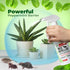 Mighty Mint - 16oz Peppermint Oil Mice Repellent Spray