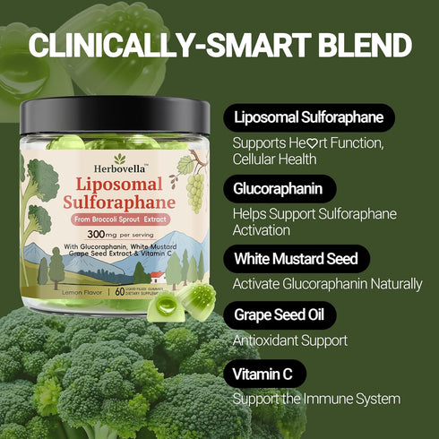 Herbovella Gummies 300mg 60 Count Broccoli Sprout Liposomal Sulforaphane Sulforaphane Supplement with Glucoraphanin