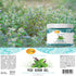 SPA REDI Exfoliating Scrub Pumice Gel, Mint & Eucalyptus, 16 oz - Body, Manicure & Pedicure Exfoliator with Hyaluronic