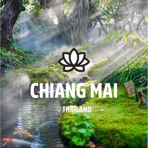 Essential Oils Set, Chiang Mai Series, 6 Pure Oils Kit - Cinnamon, Sandalwood, Frankincense, Peppermint, 10ML