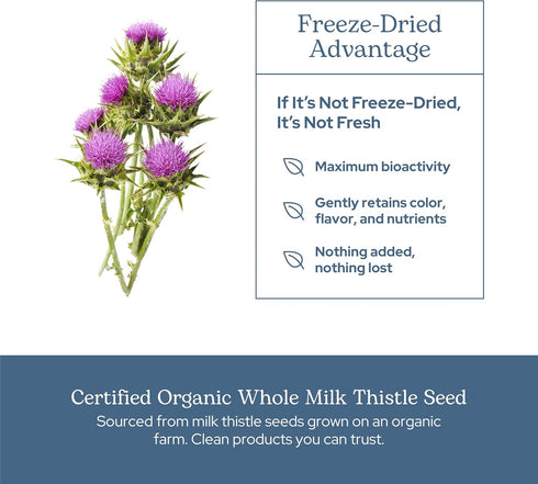 Premium Freeze Dried Milk Thistle Capsules, Eclectic Herb, Liver Support, 120 CT, 600 mg
