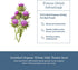 Premium Freeze Dried Milk Thistle Capsules, Eclectic Herb, Liver Support, 120 CT, 600 mg