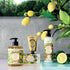 Panier des Sens Provence Hand & Body Lotion for Dry Skin - 8.45 Floz Hydrating Body Cream with Shea Butter