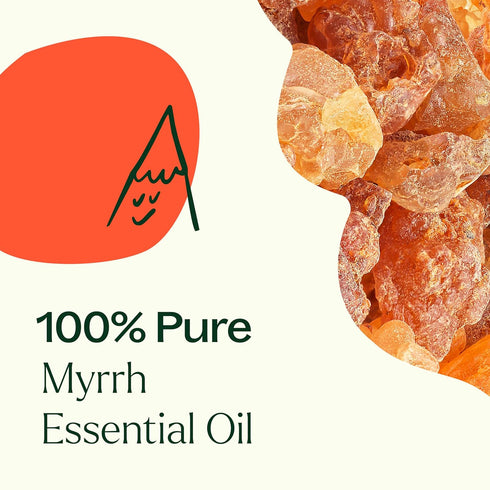 Plant Therapy Myrrh Essential Oil, 5 mL (1/6 oz), 100% Pure, Natural Aromatherapy