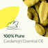 Plant Therapy Cardamom Essential Oil – 5 mL (1/6 oz) 100% Pure, Undiluted, Therapeutic Grade