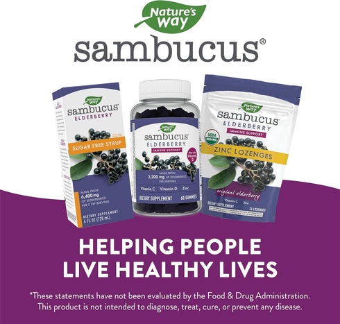 Nature’s Way Sambucus Organic Zinc Lozenges, Elderberry and Zinc with Vitamin C, 24 Lozenges