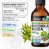 Organic Rhodiola Rosea Liquid Supplement - Vegan Adaptogenic Drops for Mood & Brain Support - Alcohol & Sugar Free, 4