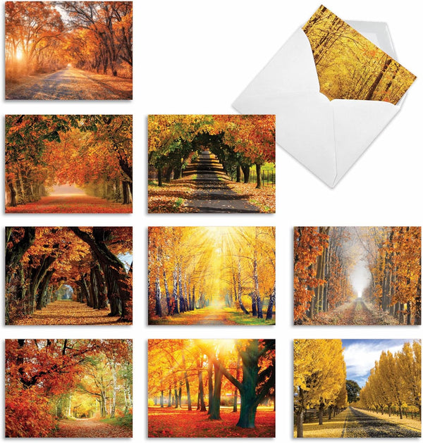 The Best Card Company 10 Beautiful Blank Note Cards (4 x 5.12 Inch) - Fall Foliage Assortment, Boxed Notecards