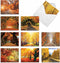 The Best Card Company 10 Beautiful Blank Note Cards (4 x 5.12 Inch) - Fall Foliage Assortment, Boxed Notecards