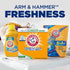 HAMMER 100 ARM & Powder Laundry Detergent, Free of Perfume and Dyes, Loads