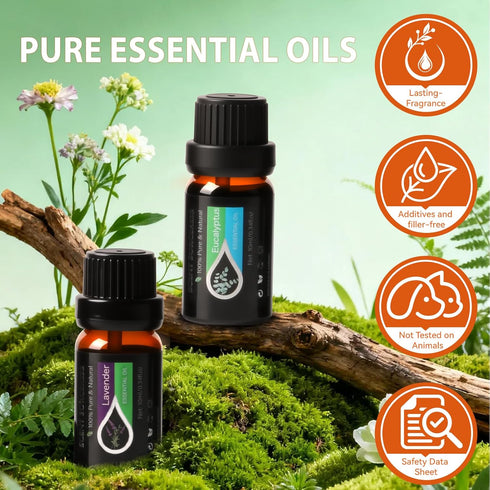 SCENT SORCERESS Set, 20 10ML Essential Oils x Essential Oil Gift for Diffuser, Massage, Humidifiers, Sleep, Refreshing