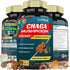 Chaga Mushroom Extract Capsules - Equivalent to 5050mg, Digestive Health, Anti-Aging, Immune Support, 3 Months Supply
