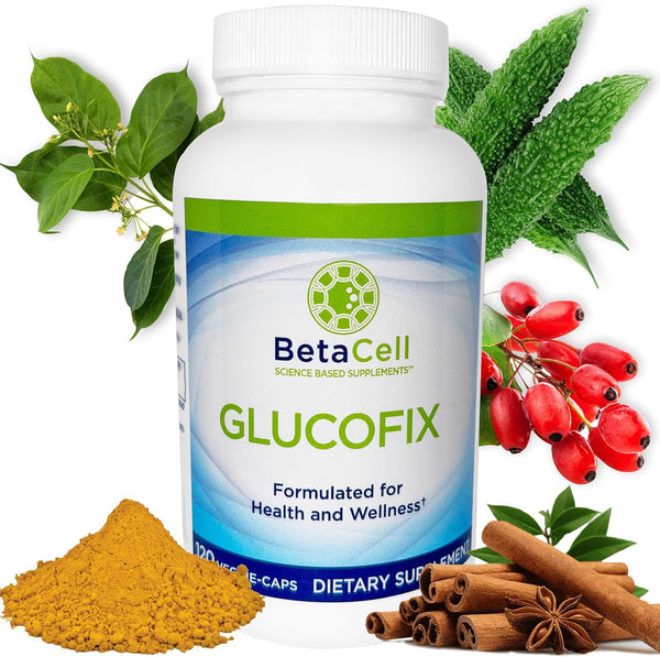 Glucofix - Berberine Herbal Supplement with Cinnamon, Gymnema, Bitter Melon, and Turmeric - 120 Capsules