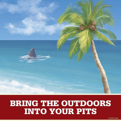 Old Spice Aluminum Free Deodorant for Men, Fiji with Palm Tree Scent, 3.0 Ounce, Pack of 3