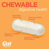 Chewable Probiotic | 30 Chewable Tablets | for Men & Women, Slows Down Digestive Aging, Boosts Immune System, Non-GMO,
