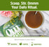 OM Mushroom Superfood Reishi Organic Mushroom Powder, 3.5 Ounce, 50 Servings, Adaptogen, Stress & Immune Support