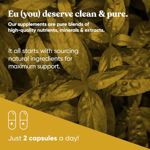 A+ Armor Andrographis Pure 800 Mg - Healthy Immune System Function, Potent Strength for Seasonal Protection