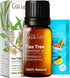 Set Set 2x0.34 oz Melissa Essential Oil for Diffuser & Tea Tree Oil for Skin - Aromatherapy Grade Essential Oils - fl