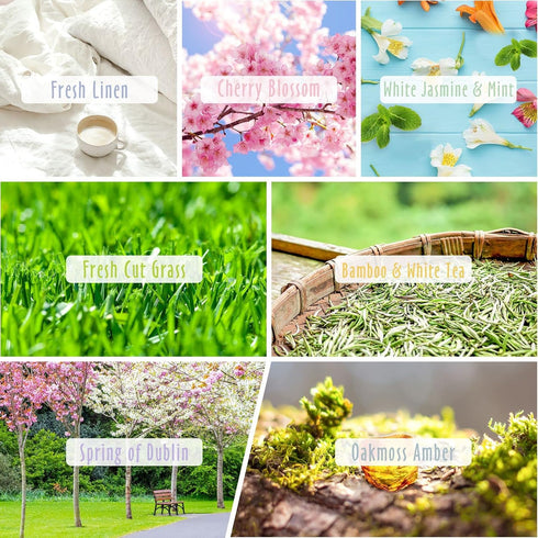 Set 14, Set, 14x10ml Spring Fragrance Oils of MitFlor Premium Diffuser Essential Oils, Candle Making Scents