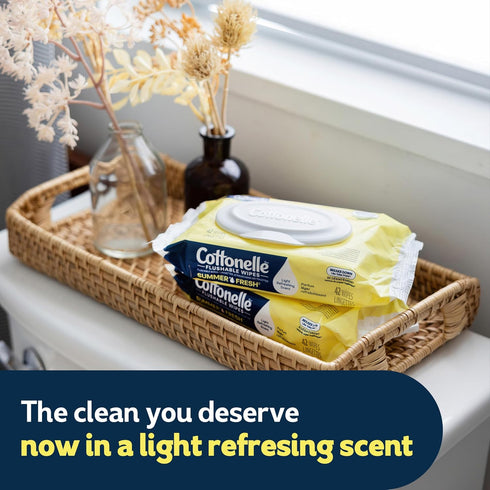 Summer 2 Packs, 42 Pack Cottonelle Fresh Scented Flushable Wipes, Flip-Top Wet Wipes per