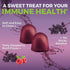 Organic Sambucus Elderberry Gummies with Zinc and Vitamin C, 120 Count, Immune Support