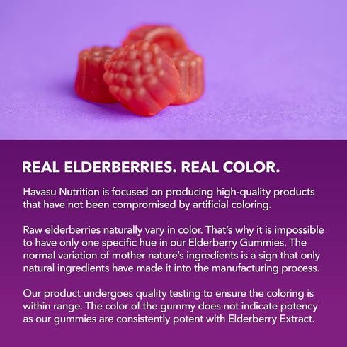 Sambucus Black Elderberry Gummies for Adults - 60 Count with Zinc and Vitamin C for Immune Support