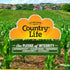 Country Life NAC (N-Acetyl Cysteine) Liver Antioxidant, 30 Vegetarian Capsules
