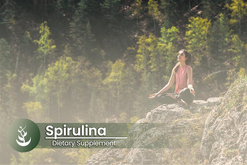 PURE ORIGINAL INGREDIENTS Spirulina (100 Capsules) Rich in Phycocyanin, Pure