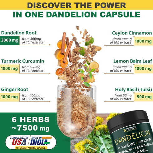 Dandelion Root Supplement 7500mg 6in1 for Digestion, Heart Health & Immune - Blended with Ginger, Turmeric Curcumin, Ceylon Cinnamon, Lemon Balm & Holy Basil - 100 Dandelion Capsules