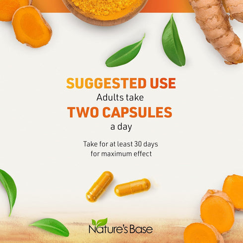Turmeric and Ginger Supplement - Turmeric Curcumin Pills with Apple Cider Vinegar & BioPerine, 120 Capsules