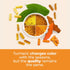 Organic Turmeric Curcumin & Black Pepper - High Absorption Joint Support Supplement with 1400mg Turmeric