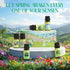 Set, Set Soulorigin Spring Fragrance Oils Essential Oil Gift for Diffuser, Spring Scent Diffuser Oil, Diffuser Scents