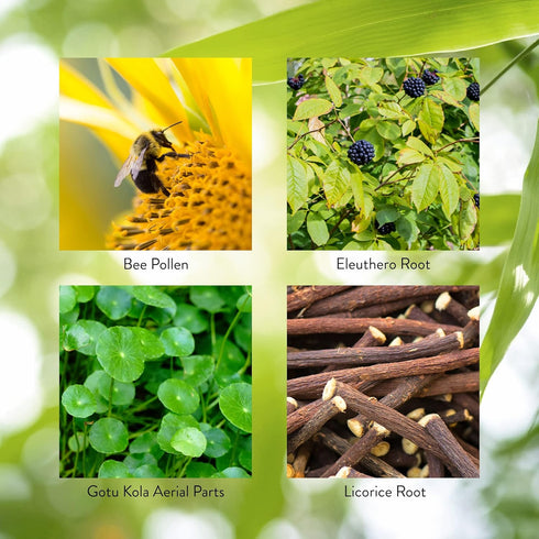Nature's Sunshine Energ-V - 100 Capsules